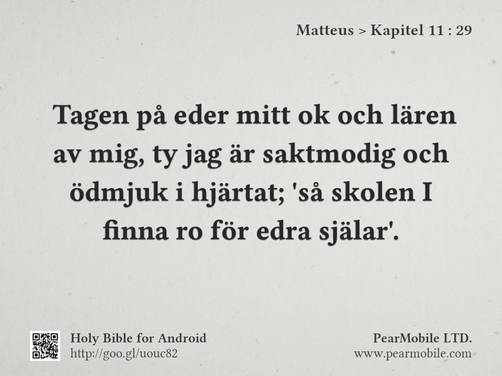 Matteus, Kapitel 11:29